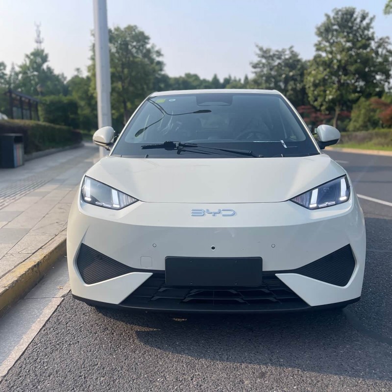 Seagull 2025 Smart Driving Edition 305km Free Edition Seagull 2025 Smart Driving Edition 305km Free Edition