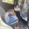 Seagull 2025 Smart Driving Edition 305km Free Edition
