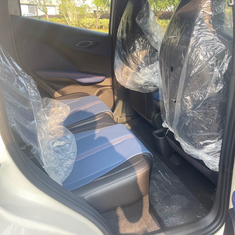 Seagull 2025 Smart Driving Edition 305km Free Edition Seagull 2025 Smart Driving Edition 305km Free Edition