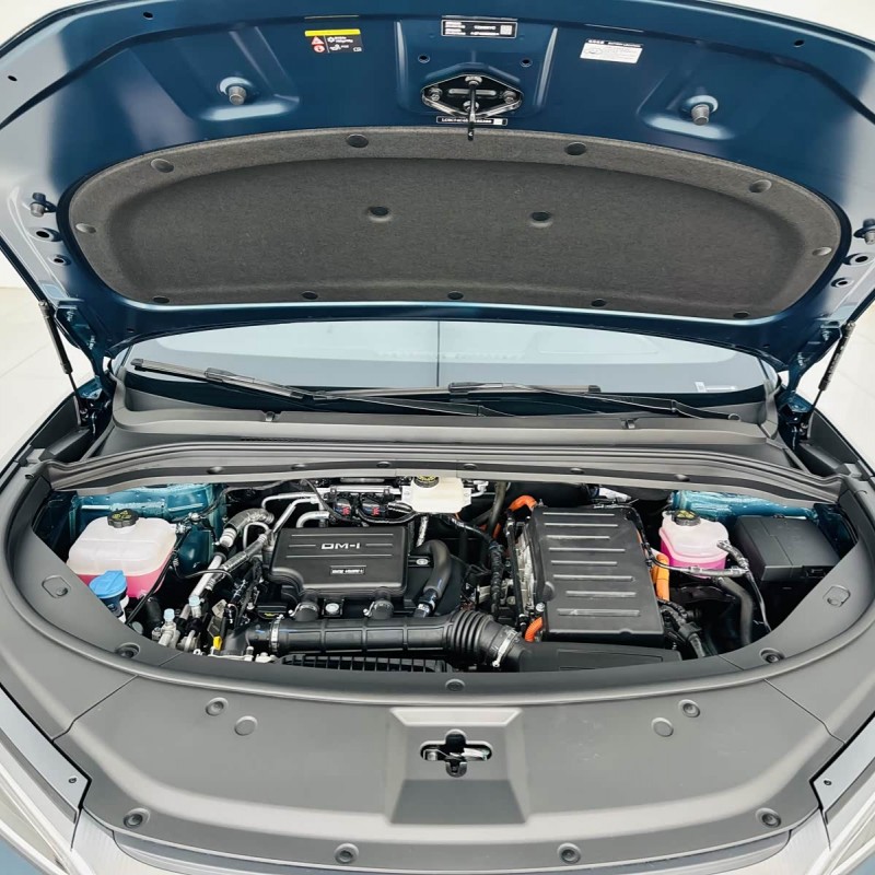 Song L DM-i 2024 model 112km surpassing model Song L DM-i 2024 model 112km surpassing model