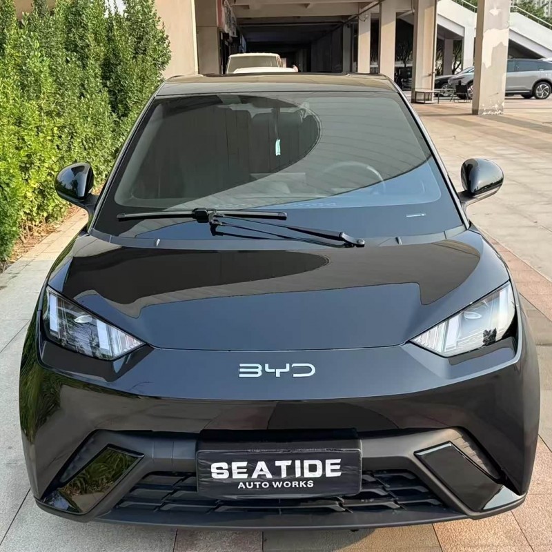 Seagull 2024 Glory Edition 305km Freedom Edition Seagull 2024 Glory Edition 305km Freedom Edition