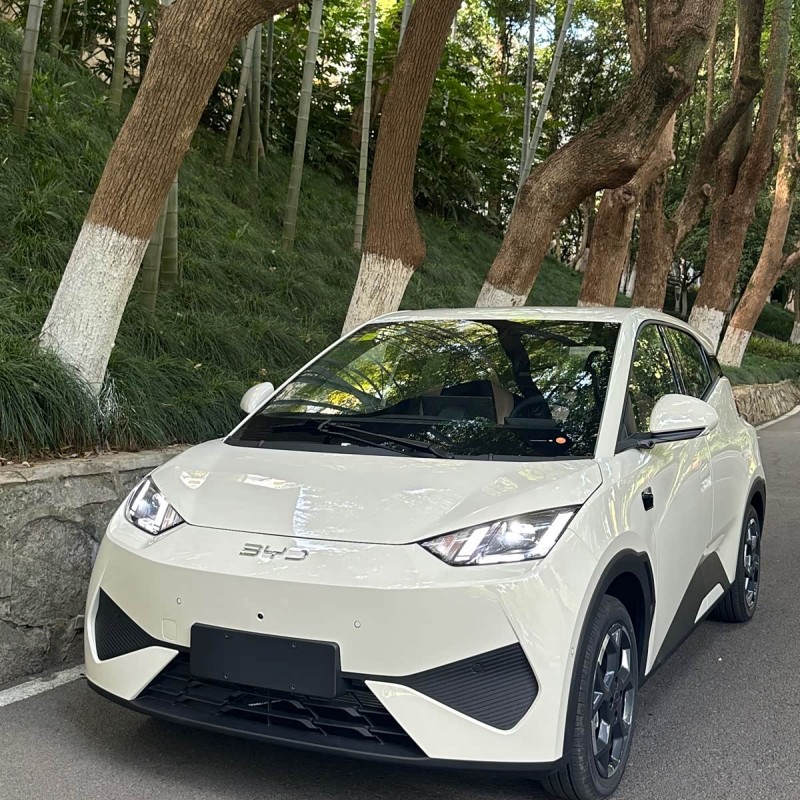 Seagull 2025 305km Freedom Edition Seagull 2025 305km Freedom Edition