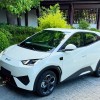 Seagull 2025 305km Freedom Edition