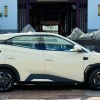 Seagull 2025 305km Freedom Edition