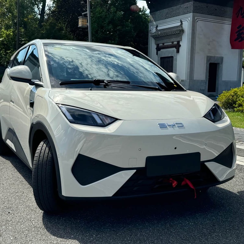 Seagull 2025 305km Freedom Edition