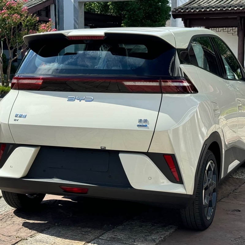 Seagull 2025 305km Freedom Edition Seagull 2025 305km Freedom Edition