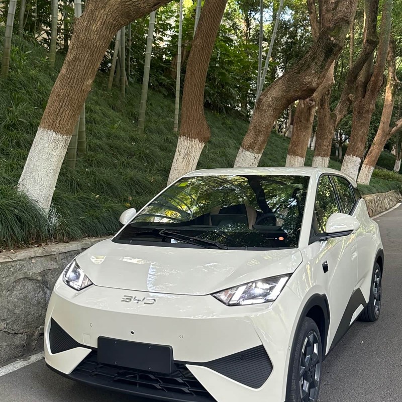 Seagull 2025 305km Freedom Edition Seagull 2025 305km Freedom Edition