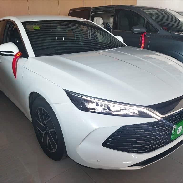 Qin L 2024 DM-i 80KM Beyond Edition Qin L 2024 DM-i 80KM Beyond Edition