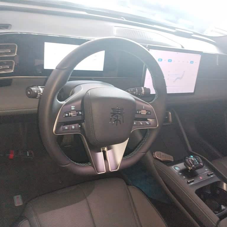 Qin L 2024 DM-i 80KM Beyond Edition Qin L 2024 DM-i 80KM Beyond Edition