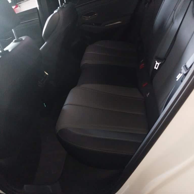 Qin L 2024 DM-i 80KM Beyond Edition Qin L 2024 DM-i 80KM Beyond Edition