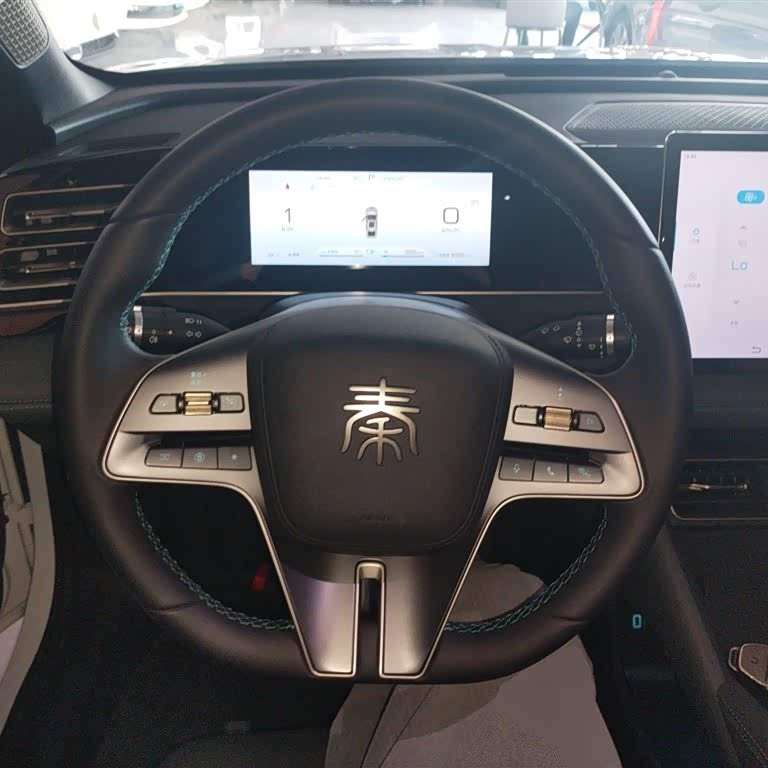 Qin L 2024 DM-i 80KM Beyond Edition Qin L 2024 DM-i 80KM Beyond Edition