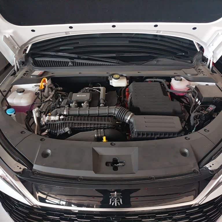 Qin L 2024 DM-i 80KM Beyond Edition Qin L 2024 DM-i 80KM Beyond Edition