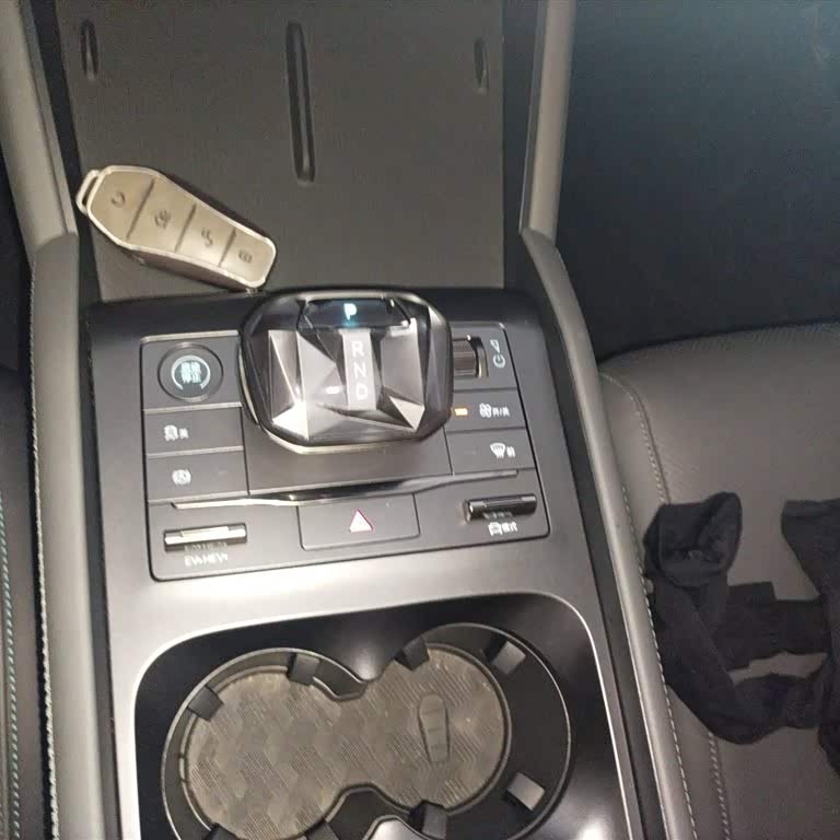 Qin L 2024 DM-i 80KM Beyond Edition Qin L 2024 DM-i 80KM Beyond Edition