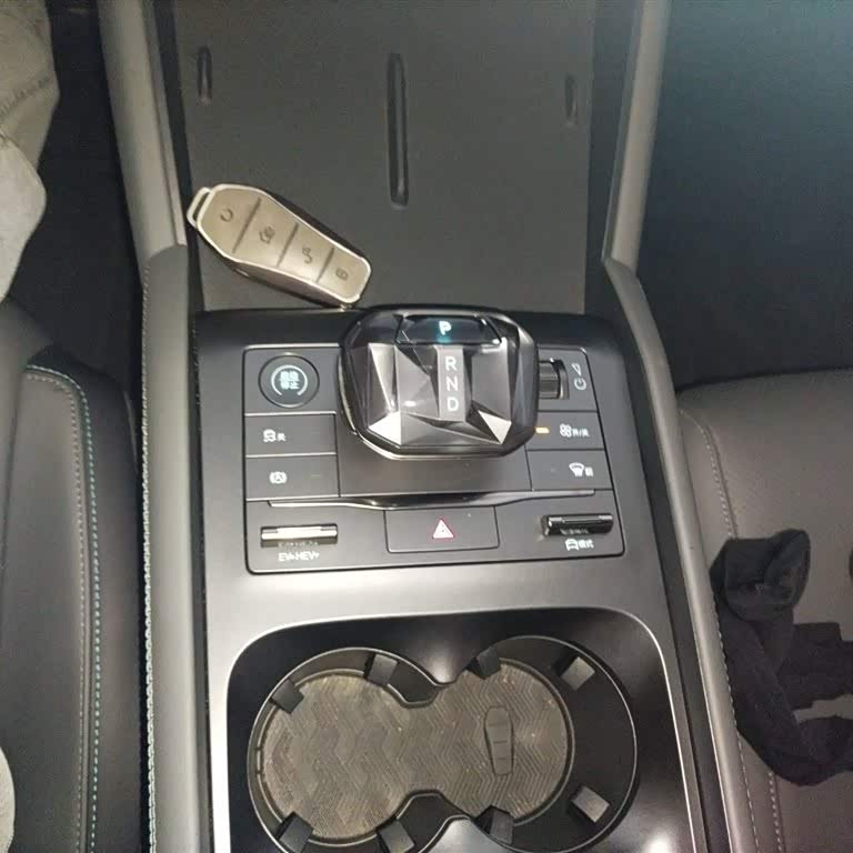Qin L 2024 DM-i 80KM Beyond Edition Qin L 2024 DM-i 80KM Beyond Edition