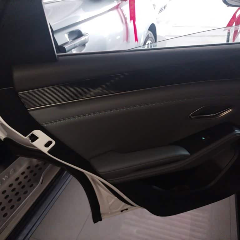 Qin L 2024 DM-i 80KM Beyond Edition Qin L 2024 DM-i 80KM Beyond Edition