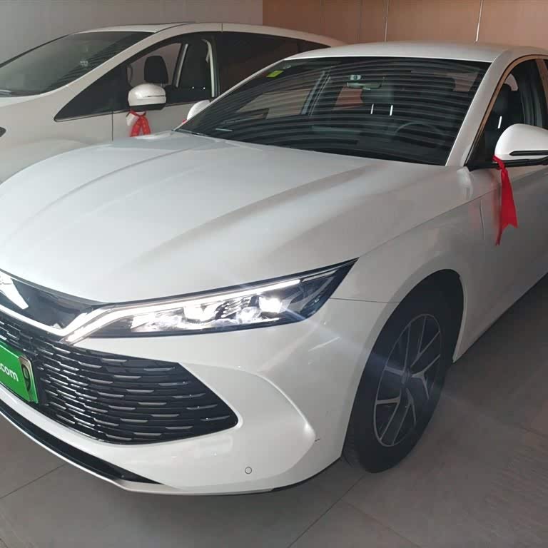 Qin L 2024 DM-i 80KM Beyond Edition
