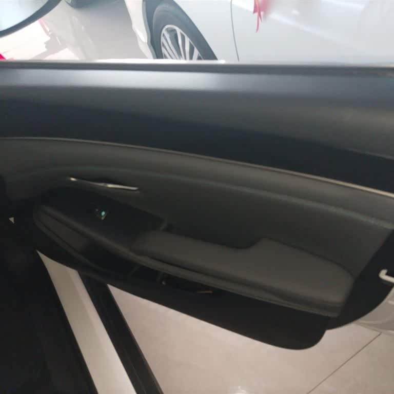 Qin L 2024 DM-i 80KM Beyond Edition Qin L 2024 DM-i 80KM Beyond Edition