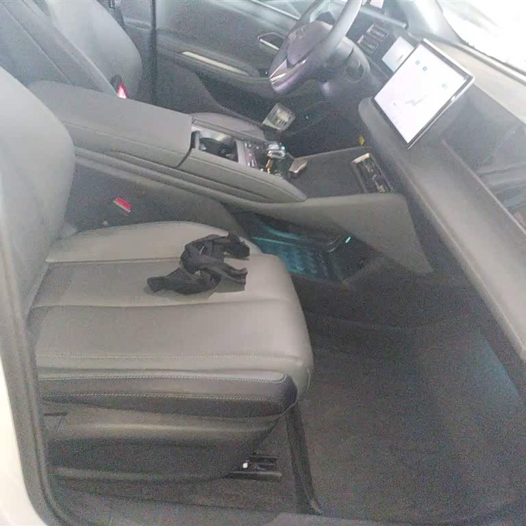 Qin L 2024 DM-i 80KM Beyond Edition Qin L 2024 DM-i 80KM Beyond Edition