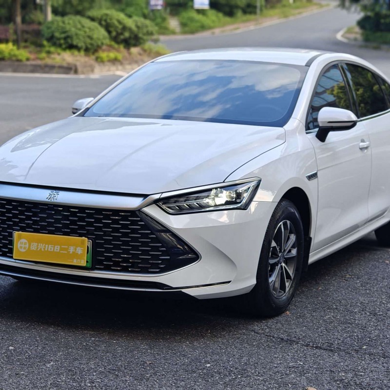 Qin PLUS 2024 Honor Edition DM-i 55KM Leading Edition