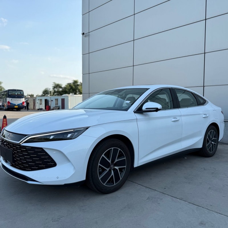 Qin L 2024 DM-i 120KM Beyond Edition