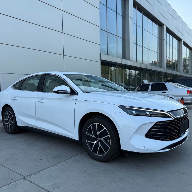 Qin L 2024 DM-i 120KM Beyond Edition Qin L 2024 DM-i 120KM Beyond Edition