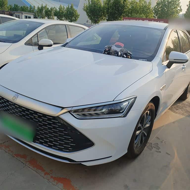 Qin PLUS 2024 Honor Edition DM-i 55KM Leading Edition