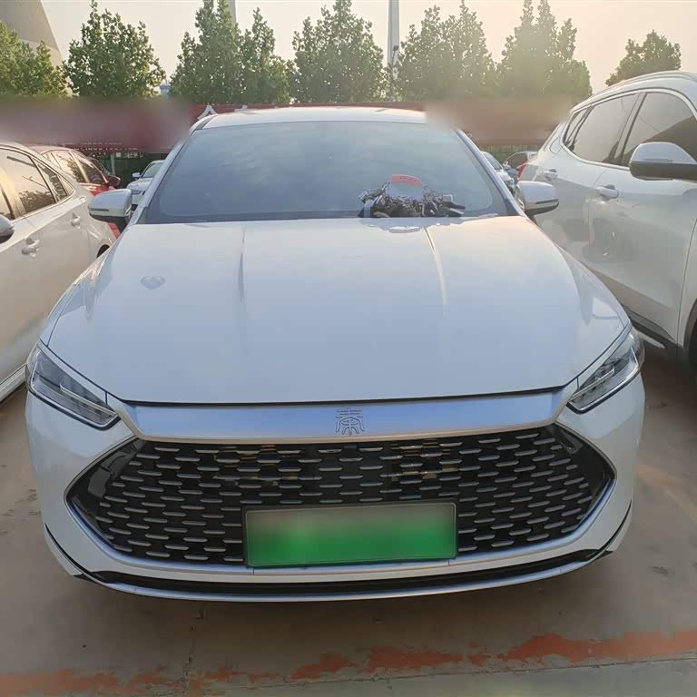 Qin PLUS 2024 Honor Edition DM-i 55KM Leading Edition Qin PLUS 2024 Honor Edition DM-i 55KM Leading Edition