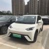 Seagull 2025 305km Vitality Edition