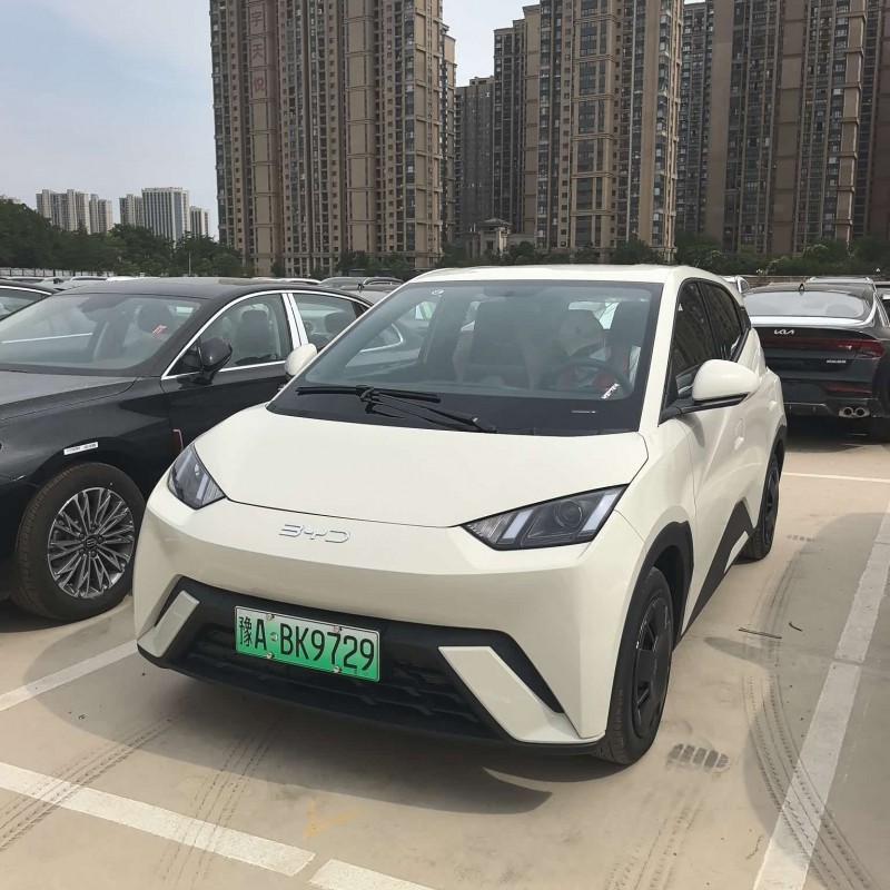 Seagull 2025 305km Vitality Edition