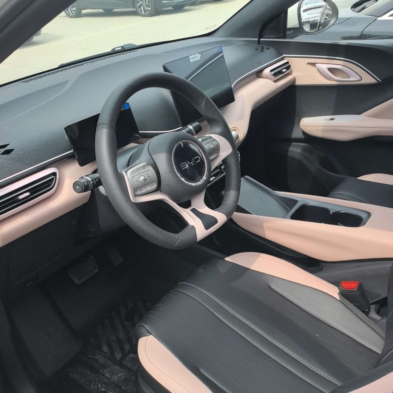 Seagull 2025 305km Vitality Edition Seagull 2025 305km Vitality Edition