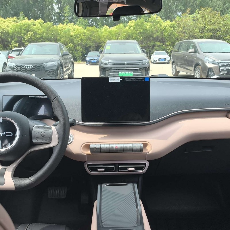 Seagull 2025 305km Vitality Edition Seagull 2025 305km Vitality Edition