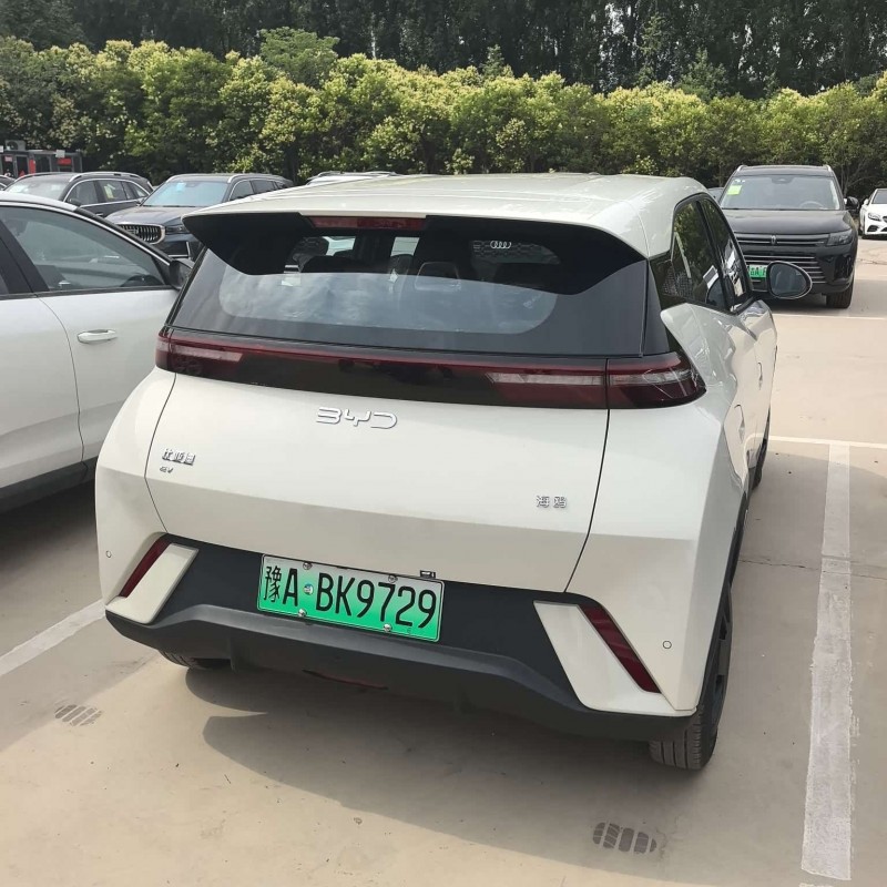 Seagull 2025 305km Vitality Edition Seagull 2025 305km Vitality Edition