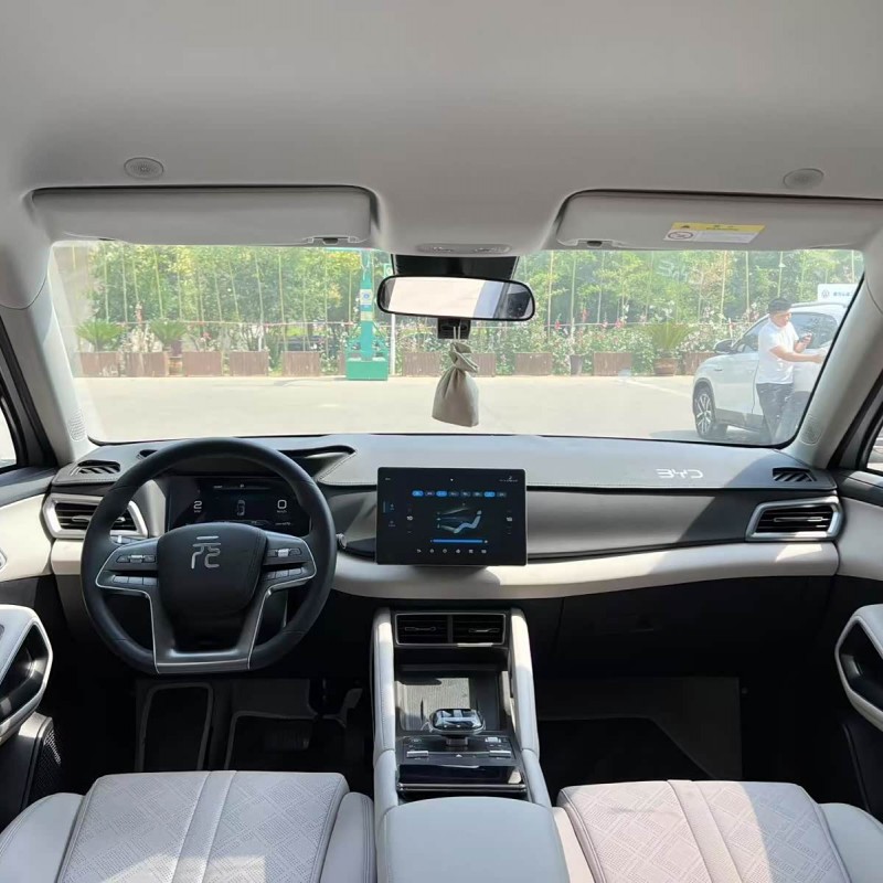 Yuan UP 2024 301KM Leading Edition Yuan UP 2024 301KM Leading Edition