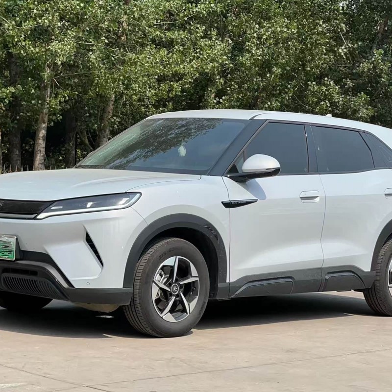 Yuan UP 2024 301KM Leading Edition Yuan UP 2024 301KM Leading Edition