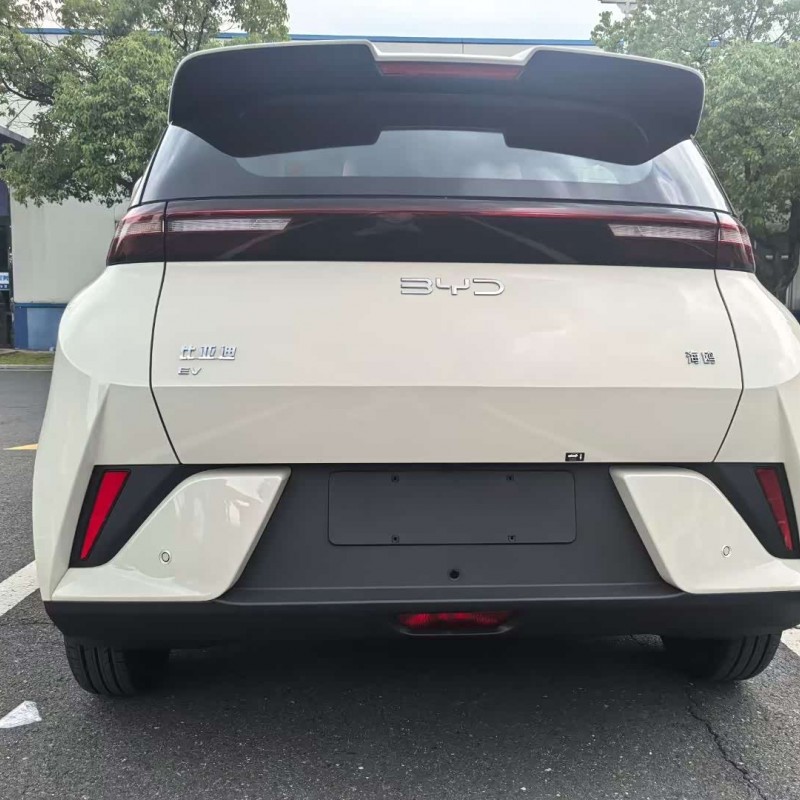 Seagull 2025 305km Vitality Edition Seagull 2025 305km Vitality Edition