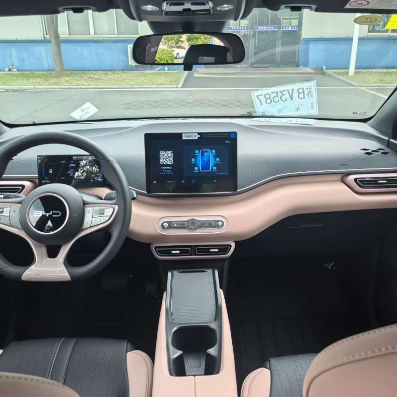 Seagull 2025 305km Vitality Edition Seagull 2025 305km Vitality Edition