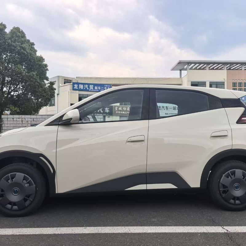 Seagull 2025 305km Vitality Edition Seagull 2025 305km Vitality Edition