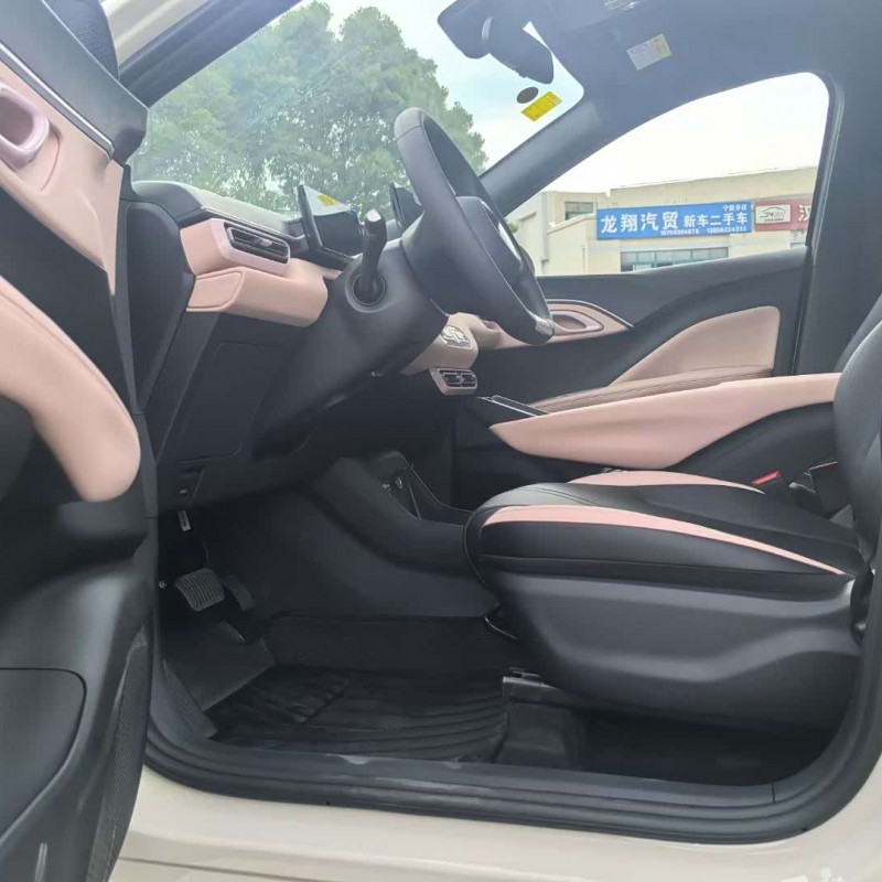 Seagull 2025 305km Vitality Edition Seagull 2025 305km Vitality Edition