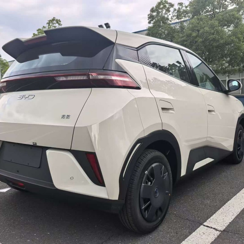 Seagull 2025 305km Vitality Edition Seagull 2025 305km Vitality Edition