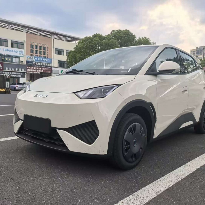 Seagull 2025 305km Vitality Edition Seagull 2025 305km Vitality Edition