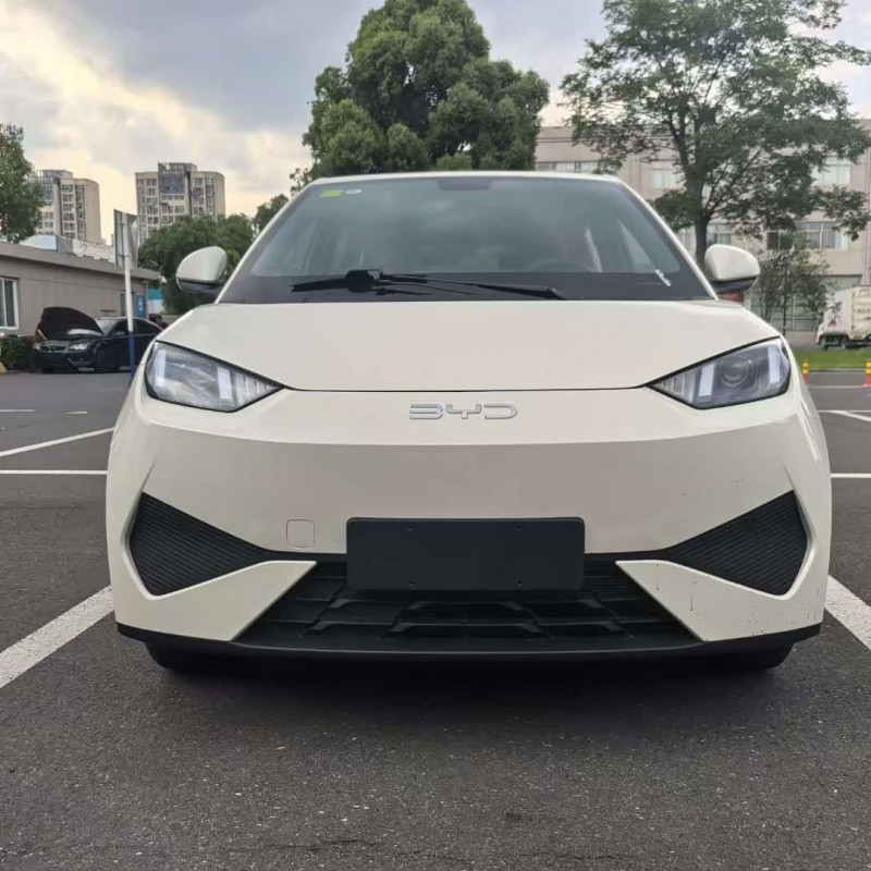 Seagull 2025 305km Vitality Edition Seagull 2025 305km Vitality Edition
