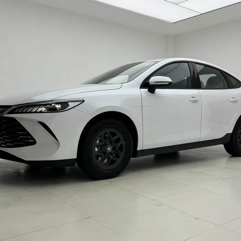 Qin PLUS 2025 DM-i Intelligent Driving Edition 55KM Leading Edition