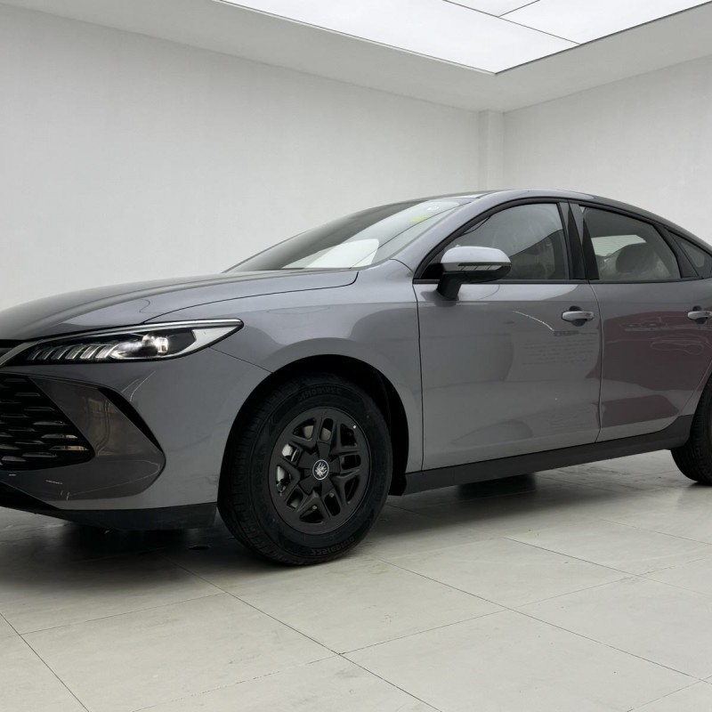 Qin PLUS 2025 DM-i Intelligent Driving Edition 55KM Leading Edition