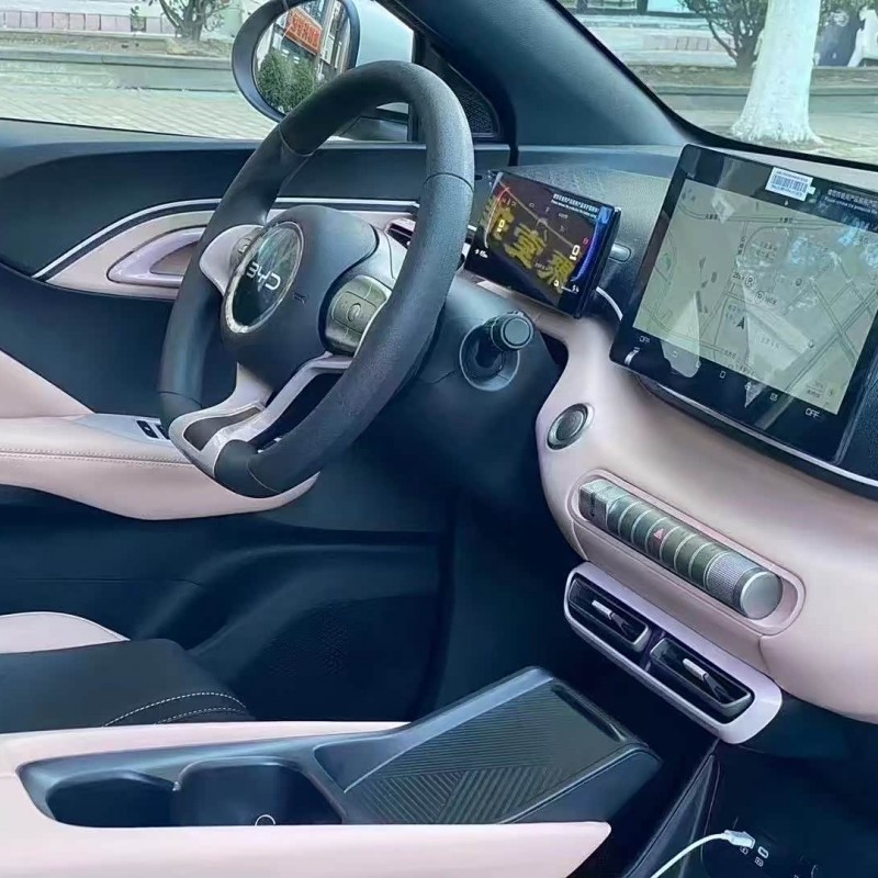 Seagull 2025 305km Vitality Edition Seagull 2025 305km Vitality Edition