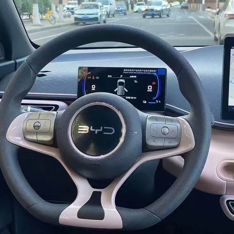 Seagull 2025 305km Vitality Edition Seagull 2025 305km Vitality Edition