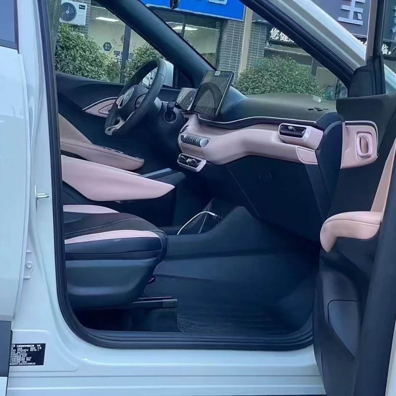 Seagull 2025 305km Vitality Edition Seagull 2025 305km Vitality Edition