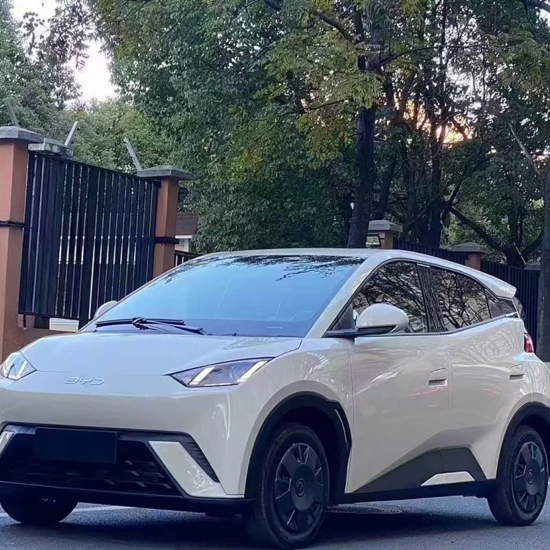Seagull 2025 305km Vitality Edition