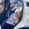 Seagull 2025 305km Vitality Edition