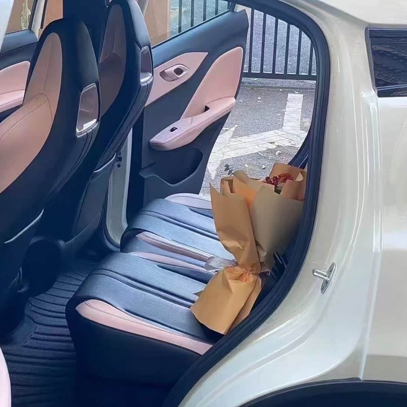 Seagull 2025 305km Vitality Edition Seagull 2025 305km Vitality Edition