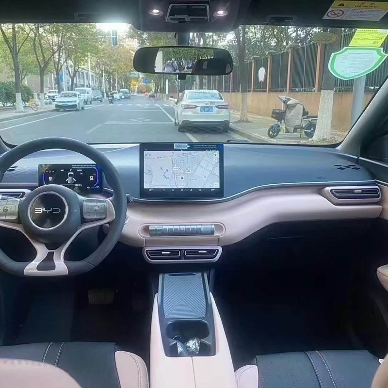Seagull 2025 305km Vitality Edition Seagull 2025 305km Vitality Edition
